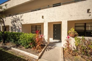 7830 NIAGARA AVENUE, TAMPA, FL 33617 - MLS#MFRTB8480595