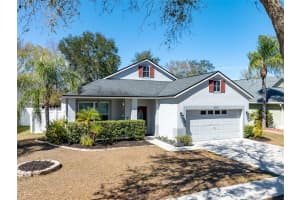 6531 SUMMER COVE DRIVE, RIVERVIEW, FL 33578 - MLS#MFRTB8480602