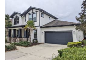 4513 POINTE O WOODS DRIVE, WESLEY CHAPEL, FL 33543 - MLS#MFRTB8480606