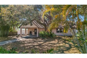 4319 CAMERON AVENUE, TAMPA, FL 33611 - MLS#MFRTB8480616