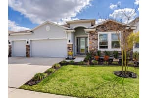 9822 Shoreline View Way, WESLEY CHAPEL