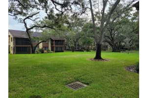 506 MISTLETOE COURT, SAFETY HARBOR, FL 34695 - MLS#MFRTB8480629