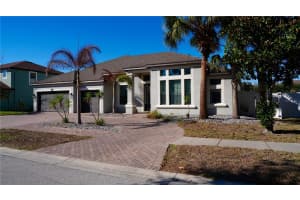 11806 HARPSWELL DRIVE, RIVERVIEW, FL 33579 - MLS#MFRTB8480632