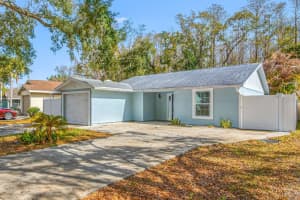 12413 HIDDEN BROOK DRIVE, TAMPA, FL 33624 - MLS#MFRTB8480645