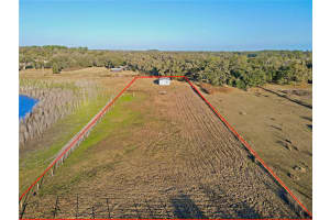 37466 PHELPS ROAD, ZEPHYRHILLS, FL 33541 - MLS#MFRTB8480648