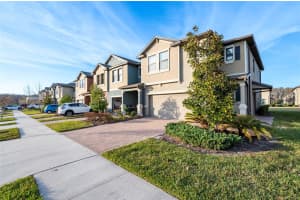 3448 PINE RIBBON DRIVE, LAND O LAKES, FL 34638 - MLS#MFRTB8480682