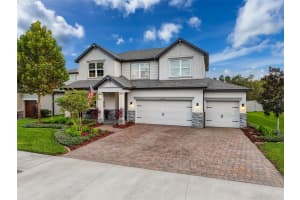 11828 RANCHERS GAP DRIVE, ODESSA, FL 33556 - MLS#MFRTB8480685