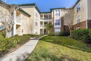 4115 Chatham Oak Ct #220, TAMPA