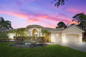 21235 SKY VISTA DRIVE, LAND O LAKES, FL 34637 - MLS#MFRTB8480715