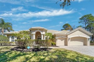 21235 SKY VISTA DRIVE, LAND O LAKES, FL 34637 - MLS#MFRTB8480715