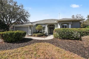 12251 CREEK EDGE DRIVE, RIVERVIEW, FL 33579 - MLS#MFRTB8480734