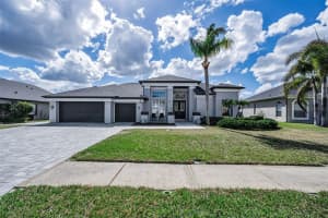 1151 ARLINBROOK DRIVE, TRINITY, FL 34655 - MLS#MFRTB8480758