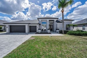1151 ARLINBROOK DRIVE, TRINITY, FL 34655 - MLS#MFRTB8480758