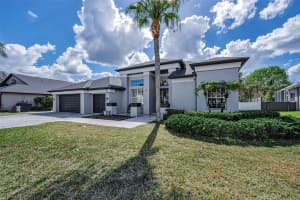 1151 ARLINBROOK DRIVE, TRINITY, FL 34655 - MLS#MFRTB8480758