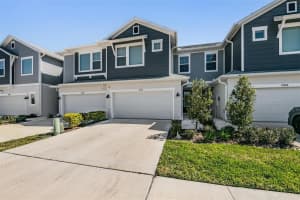 17288 BALANCE COVE, LAND O LAKES, FL 34638 - MLS#MFRTB8480767