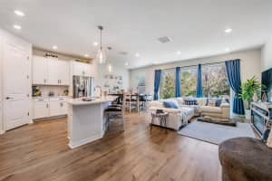 17288 BALANCE COVE, LAND O LAKES, FL 34638 - MLS#MFRTB8480767