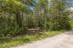 0 OLSEN STREET, NEW PORT RICHEY, FL 34654 - MLS#MFRTB8480798