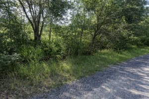 0 OLSEN STREET, NEW PORT RICHEY, FL 34654 - MLS#MFRTB8480798