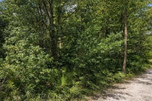 0 OLSEN STREET, NEW PORT RICHEY, FL 34654 - MLS#MFRTB8480798