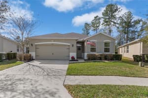 17807 GARSALASO CIRCLE, BROOKSVILLE, FL 34604 - MLS#MFRTB8480826