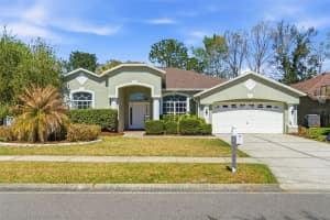 3725 GRAND FORKS DRIVE, LAND O LAKES, FL 34639 - MLS#MFRTB8480863