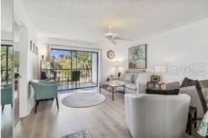 104 CYPRESS COURT, OLDSMAR, FL 34677 - MLS#MFRTB8480878