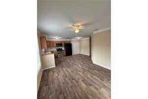 4556 BLOSSOM BOULEVARD, ZEPHYRHILLS, FL 33542 - MLS#MFRTB8480908