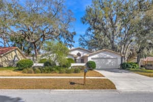 1011 Meadowcrest Dr, VALRICO