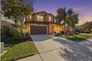 3608 SHADOW ARBOR WAY, LUTZ, FL 33548 - MLS#MFRTB8480926