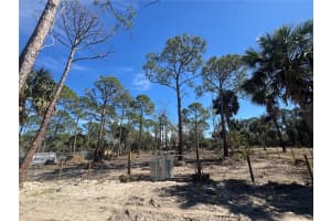 XXX SHARK, HUDSON, FL 34667 Sold 04/29/26