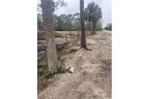 XXX SHARK, HUDSON, FL 34667 Sold 04/29/26
