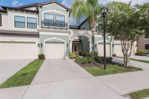 9152 Fox Sparrow Rd, TAMPA