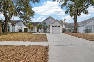 4623 CABBAGE PALM DRIVE, VALRICO, FL 33596 - MLS#MFRTB8480983