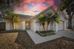 4623 CABBAGE PALM DRIVE, VALRICO, FL 33596 - MLS#MFRTB8480983