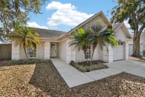 4623 CABBAGE PALM DRIVE, VALRICO, FL 33596 - MLS#MFRTB8480983