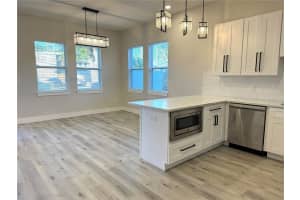 1039 53RD AVENUE, ST PETERSBURG, FL 33703 - MLS#MFRTB8481001