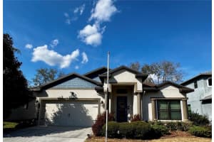12419 BETONY COURT, NEW PORT RICHEY, FL 34654 - MLS#MFRTB8481005