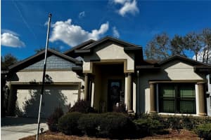 12419 BETONY COURT, NEW PORT RICHEY, FL 34654 - MLS#MFRTB8481005