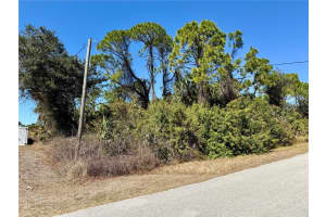 BAKER RD, NORTH PORT, FL 34288 - MLS#MFRTB8481043
