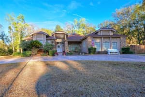 13044 BRIDLE PATH, BROOKSVILLE, FL 34614 - MLS#MFRTB8481058