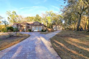 13044 BRIDLE PATH, BROOKSVILLE, FL 34614 - MLS#MFRTB8481058