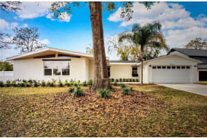 222 Willowick Ave, TEMPLE TERRACE 222 Willowick Ave, TEMPLE TERRACE