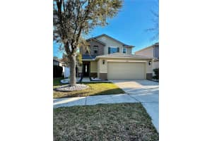 18916 Randall Pl, LAND O LAKES