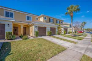 20408 NEEDLETREE DRIVE, TAMPA, FL 33647 - MLS#MFRTB8481074