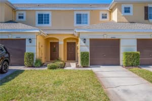 20408 NEEDLETREE DRIVE, TAMPA, FL 33647 - MLS#MFRTB8481074