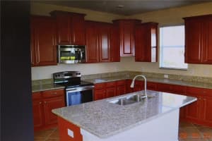 19347 PADDOCK VIEW DRIVE, TAMPA, FL 33647 - MLS#MFRTB8481083