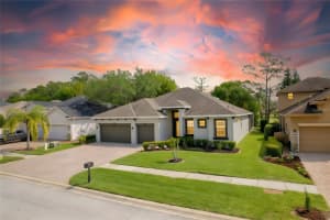 13030 Eagles Entry Dr, ODESSA