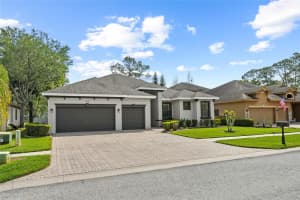 13030 EAGLES ENTRY DRIVE, ODESSA, FL 33556 - MLS#MFRTB8481094