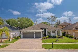13030 EAGLES ENTRY DRIVE, ODESSA, FL 33556 - MLS#MFRTB8481094