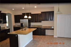 20509 CAROLINA CHERRY COURT, TAMPA, FL 33647 - MLS#MFRTB8481103